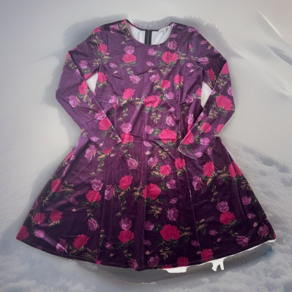 Lace & Mesh Velvet Fit & Flare Dress Rose Floral Print Goth Romantic Large